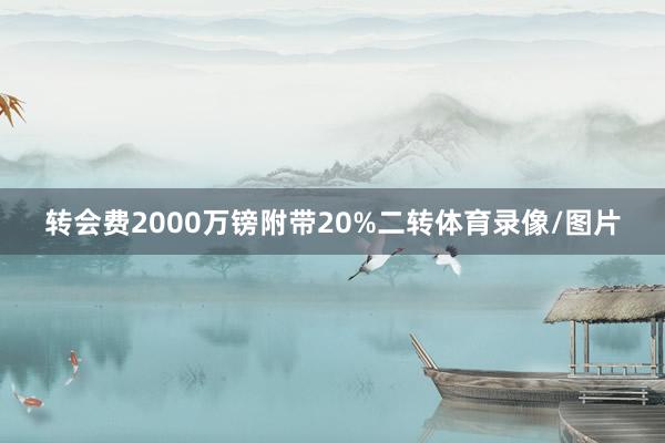 转会费2000万镑附带20%二转体育录像/图片