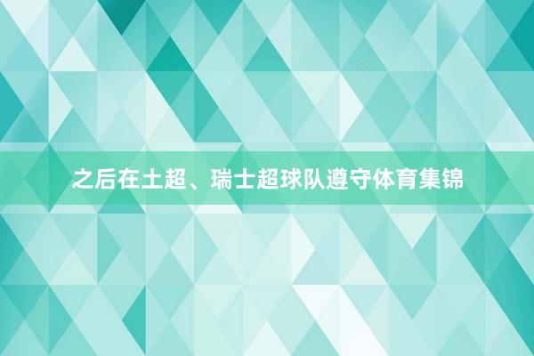 之后在土超、瑞士超球队遵守体育集锦